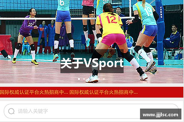 关于VSport
